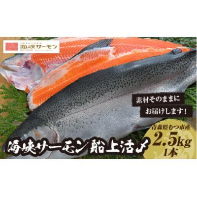 ふるさと納税 むつ市 [期間限定発送]海峡サーモン船上活〆2.5kg1本(冷蔵)