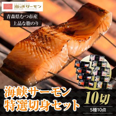 ふるさと納税 むつ市 [期間限定発送]海峡サーモン 特選切身セット10切 (5種10点)