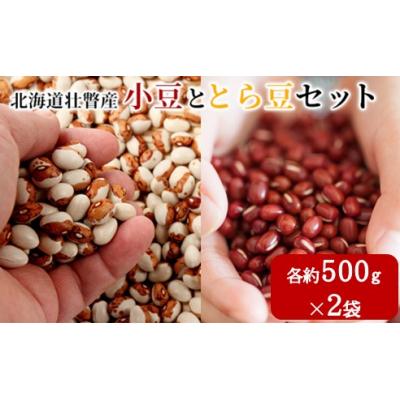 ふるさと納税 壮瞥町 &lt;2025年11月中旬よりお届け&gt;壮瞥町産 小豆・とら豆セット 各約500g×2袋