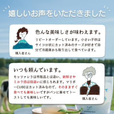 ふるさと納税 中標津町 竹下牧場まるごとチーズセット【24001】 榎本 