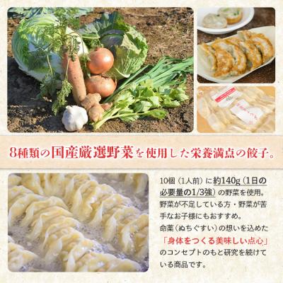 ふるさと納税 中標津町 【なかしべつミルキーポーク100%使用】 樹苞 命薬ぎょうざ60個(約6人前)【5301402】_1