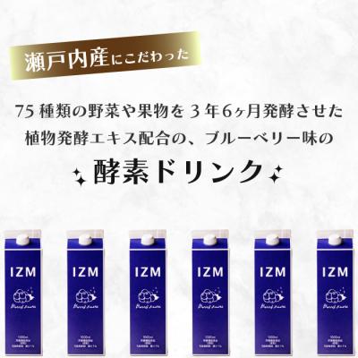 ふるさと納税 三原市 【IZM酵素ドリンク】《3か月定期便》BERRY BERRY TASTE[199-010]_1