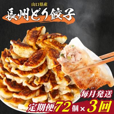 ふるさと納税 下関市 訳あり 長州どり餃子 3回 毎月 定期便 72個 12個×6パック 冷凍 小分け