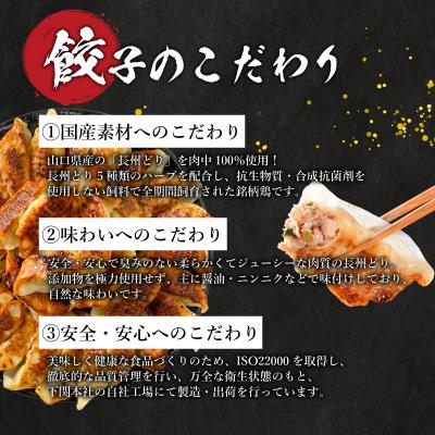 ふるさと納税 下関市 訳あり 長州どり餃子 6回 毎月 定期便 72個 12個×6パック 冷凍 小分け IB049_2