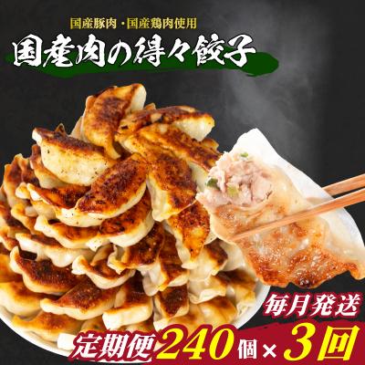 ふるさと納税 下関市 訳あり 国産肉の得々餃子 3回 毎月 定期便 240個 冷凍 小分け たれ付き