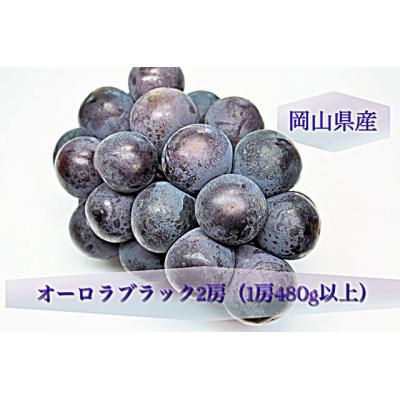 ふるさと納税 和気町 [令和8年発送・先行受付]岡山県産 オーロラブラック2房(1房480g以上)BS-20