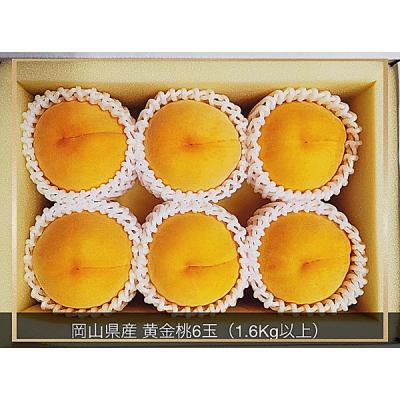 ふるさと納税 和気町 [令和8年発送・先行受付]岡山県産 黄金桃 6玉(合計1.6kg以上)Cz-11