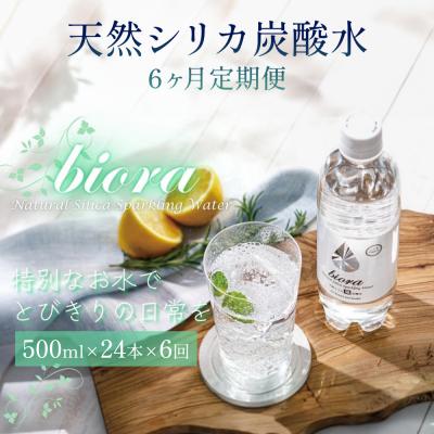ふるさと納税 玖珠町 biora天然シリカ炭酸水 500ml×24本×6回 炭酸水 シリカ ミネラル 美容 飲料水 軟水