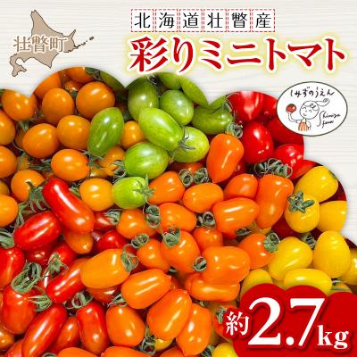 ふるさと納税 壮瞥町 <2026年7月上旬よりお届け>カラフルミニトマト約2.7kg 北海道壮瞥産