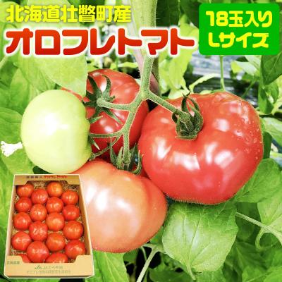 ふるさと納税 壮瞥町 &lt;2026年3月上旬より順次お届け&gt;オロフレトマト18玉入り(Lサイズ)