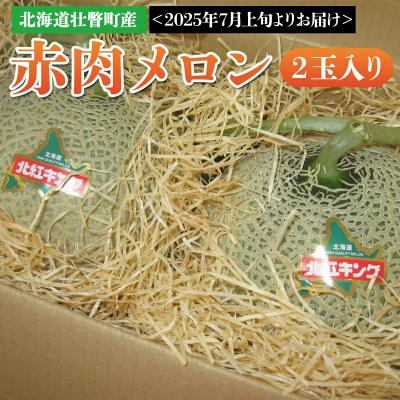 ふるさと納税 壮瞥町 &lt;2026年7月上旬よりお届け&gt;北海道壮瞥町産 赤肉メロン 2玉入り