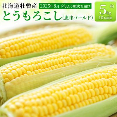 ふるさと納税 壮瞥町 &lt;2026年8月下旬より順次お届け&gt;壮瞥町産とうもろこし(恵味ゴールド)約5kg