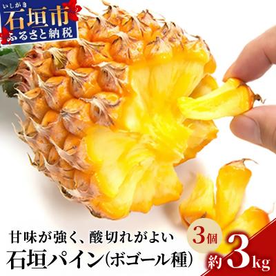 ふるさと納税 石垣市 [先行受付]石垣パイン 3個セット ボゴール種[2026年5月初旬〜6月初旬発送予定]