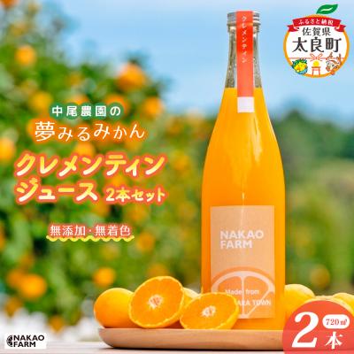 ふるさと納税 太良町 [数量限定]中尾農園の夢みるみかん クレメンティン ジュース 720ml 2本セット O179×1
