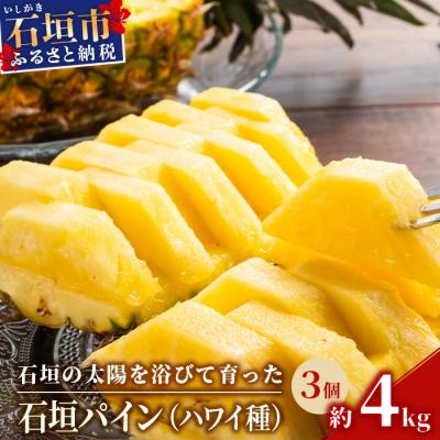 ふるさと納税 石垣市 <先行受付>石垣パイン 3個セット ハワイ種[2026年7月上旬以降発送]