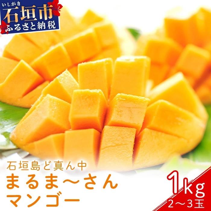 ふるさと納税 石垣市 &lt;先行予約&gt;まるま〜さん マンゴー 1kg (2〜3玉) ≪2026年7月頃より順次発送予定≫