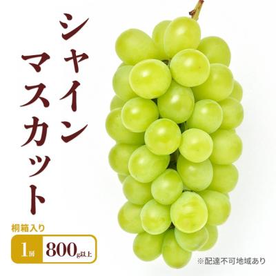 ふるさと納税 赤磐市 2026年 シャインマスカット 1房 800g以上 桐箱入り[NO5765-1128]