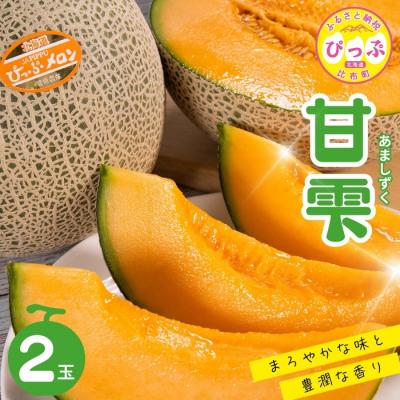 ふるさと納税 比布町 [2026年8月下旬発送]ぴっぷメロン「甘雫(あましずく)」2玉 約3kg[菅原農産]