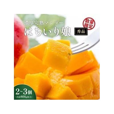 ふるさと納税 大崎町 [数量限定/先行受付]マンゴー「はちいり(鉢入り)娘」化粧箱入り