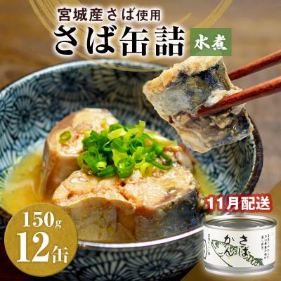 ふるさと納税 石巻市 [11月配送]缶詰 さば缶詰 水煮 12缶 サバ缶 鯖缶 さば缶 鯖 国産 常温 長期保管