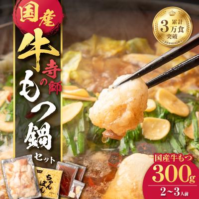 ふるさと納税 鹿児島市 寺師の国産牛もつ鍋セット 2〜3人前