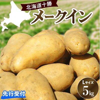 ふるさと納税 芽室町 [先行受付][2026年10月出荷分]北海道芽室町 十勝めむろ産「めむろメークイン」Lサイズ5kg