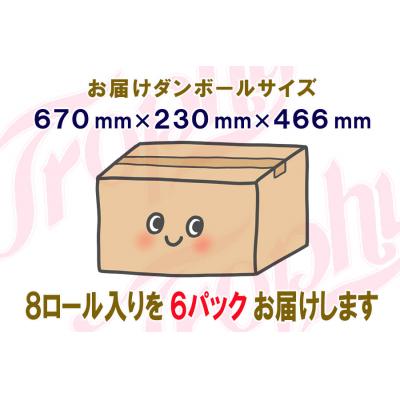 ふるさと納税 富士市 定期便 【全4回】トイレットペーパー ダブル 8個×6パック トロフィー [sf077-085]_2