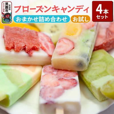 ふるさと納税 男鹿市 フローズンキャンディ おまかせ 4本 お試しセット ゴンタロー|23_gnt-020401