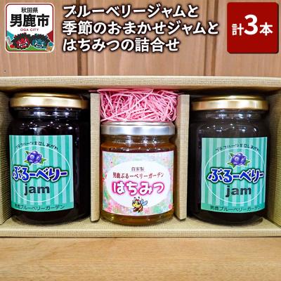 ふるさと納税 男鹿市 ブルーベリージャムと季節のおまかせジャムとはちみつの詰合せ(合計3本)|23_sea-030301