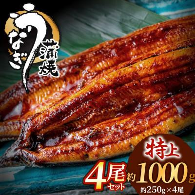 ふるさと納税 宗像市 うなぎ蒲焼き4尾セット(約250g×4尾)[魚住商店]_HA1494-s
