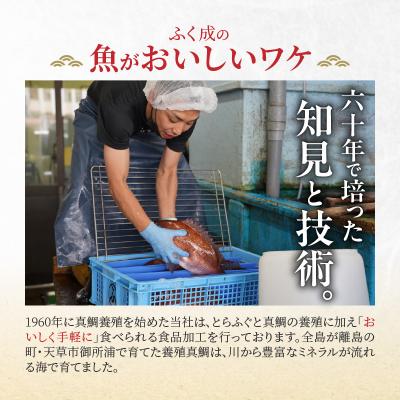 ふるさと納税 天草市 【セット】選べる真鯛の晩酌セット(真鯛の炙り・刺身用サク・醤油漬け)_S106-045 |  | 02