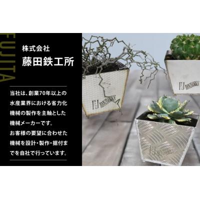 ふるさと納税 気仙沼市 植木鉢 BOTANICAL POT ESP-M 1点 [藤田鉄工所