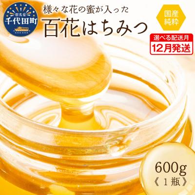 ふるさと納税 千代田町 [2025年12月発送] はちみつ 千代田町の蜂蜜 600g 百花蜂蜜 ch011-001rr-12