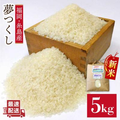 ふるさと納税 糸島市 農薬使わない栽培!糸島産 夢つくし 5kg 玄米 分搗き 対応[糸島]