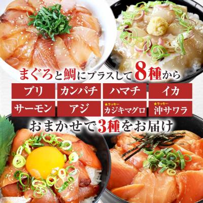 ふるさと納税 田野町 これが魚屋の漬け丼だ!魚屋のおまかせ5種漬け丼セット(鮪+鯛+おまかせ3種) 5種×2P(80g) |  | 01