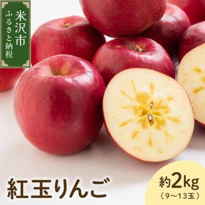 ふるさと納税 米沢市 [先行受付] 令和8年産 紅玉 りんご 約2kg 9玉 〜 13玉 舘山りんご
