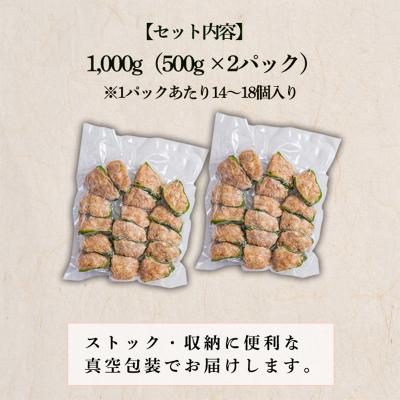 ふるさと納税 高原町 焼くだけ簡単 手作りの美味しさ宮崎県産素材のピーマンの肉詰め1kg