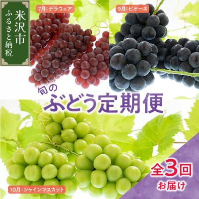 ふるさと納税 米沢市 [先行受付]定期便 令和8年産 ぶどうの定期便 全3回 配送