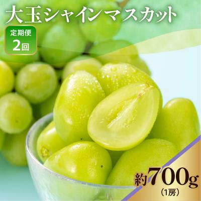 ふるさと納税 米沢市 [先行予約] [定期便] 令和8年産 大玉 シャインマスカット 1房 ( 700g ) × 2回