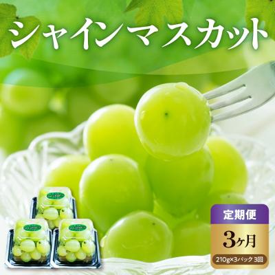 ふるさと納税 米沢市 [先行受付][3ヶ月定期便] 令和8年産 粒 シャインマスカット 210g×3パック×3回