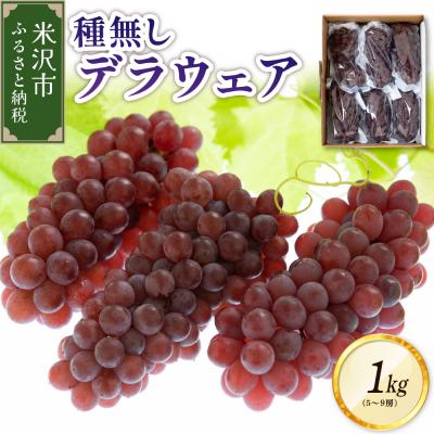 ふるさと納税 米沢市 [先行受付][令和8年産]種無し デラウェア 1kg(5〜9房)〔2026年7月下旬〜お届け〕