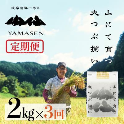 ふるさと納税 下呂市 [令和7年産][定期便]山仙(いのちの壱)2kg×3回 すがたらいす 定期[51-O]