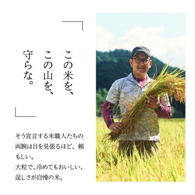 ふるさと納税 下呂市 即納【令和7年産米】すがたらいす 山仙 (いのちの壱) 2kg×4袋(8kg)【51-30】の画像