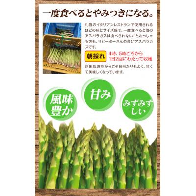 ふるさと納税 当別町 ステビア栽培グリーンアスパラ1.5kg高橋幸治≪5月下旬-6月中旬頃出荷≫