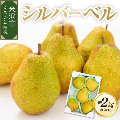 ふるさと納税 米沢市 [先行受付] 令和8年産 西洋梨 シルバーベル 約2kg 3玉 〜 8玉