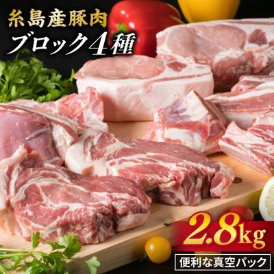 ふるさと納税 糸島市 糸島産豚肉 ブロック肉 4品盛合せセット 約2.8kg 糸島ミートデリ工房 