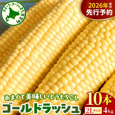 ふるさと納税 芽室町 [先行受付]芽室町 とうもろこし ゴールドラッシュ 2Lサイズ 10本 me078-003c-26