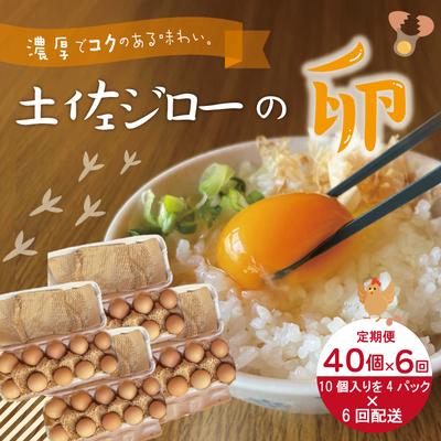 ふるさと納税 四万十市 [定期便6回]濃厚でコクのある味わい!のびのび育った土佐ジロー自然卵40個(10個入×4パック)26