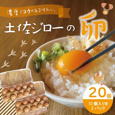 ふるさと納税 四万十市 濃厚でコクのある味わい!のびのび育った土佐ジローの自然卵20個(10個入り×2P)
