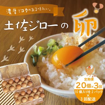 ふるさと納税 四万十市 [定期便3回]濃厚でコクのある味わい!のびのび育った土佐ジローの自然卵20個(10個入り×2パック)